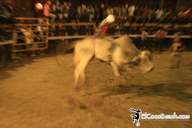 elcocobeach.pdcfestival2012.142..jpg