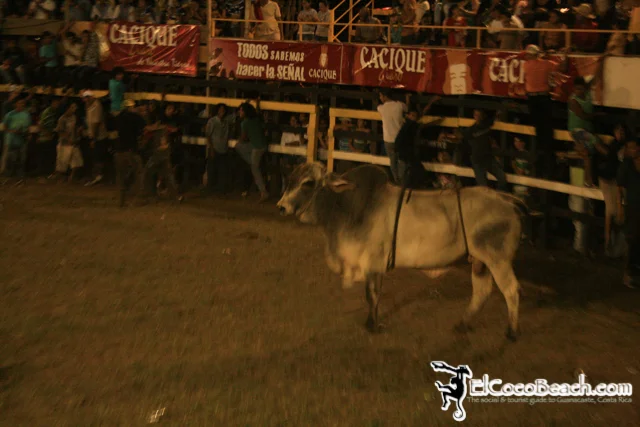 elcocobeach.pdcfestival2012.169..jpg