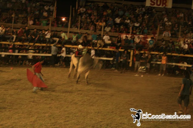 elcocobeach.pdcfestival2012.155..jpg