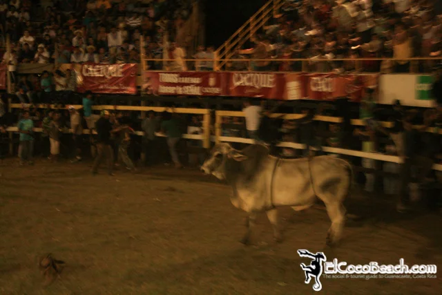 elcocobeach.pdcfestival2012.163..jpg