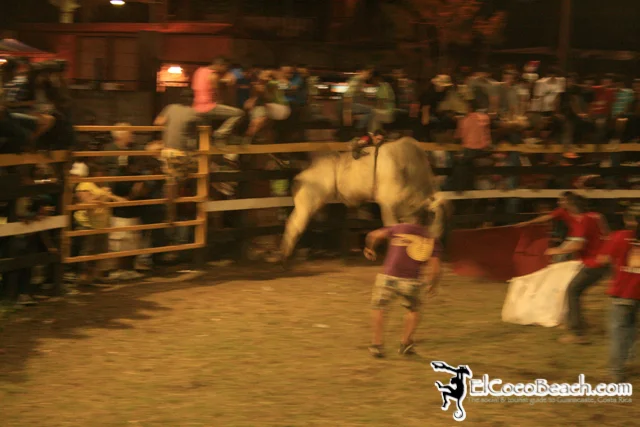elcocobeach.pdcfestival2012.161..jpg