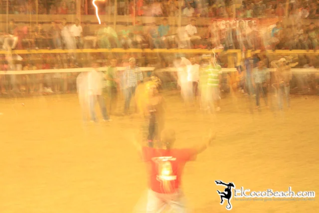 elcocobeach.pdcfestival2012.179..jpg