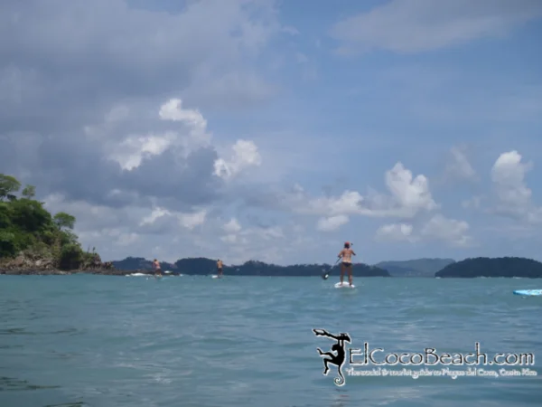 paddlebattle31.jpg