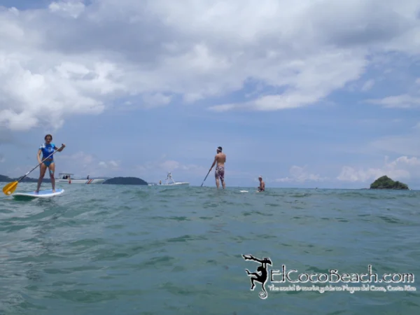 paddlebattle06.jpg