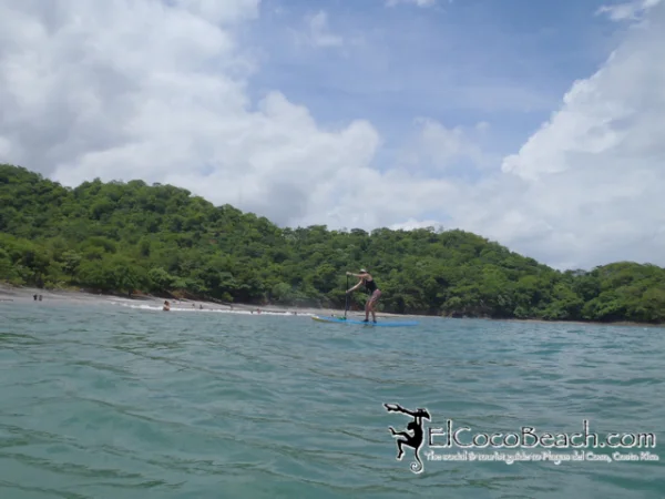 paddlebattle05.jpg