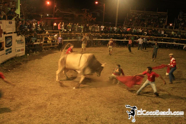elcocobeach.pdcfestival2012.064..jpg