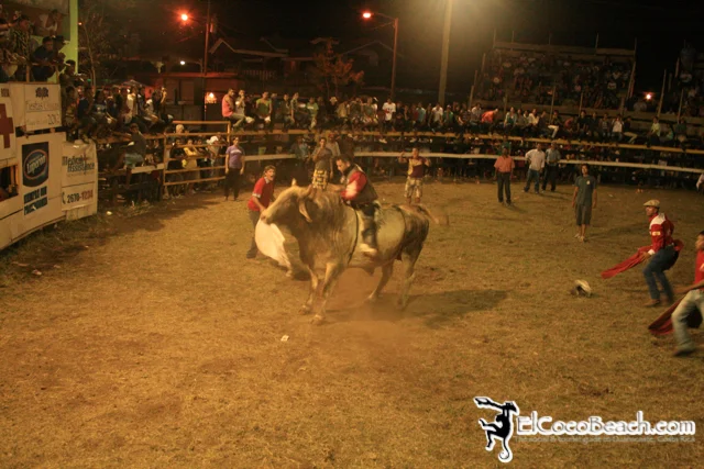 elcocobeach.pdcfestival2012.062..jpg