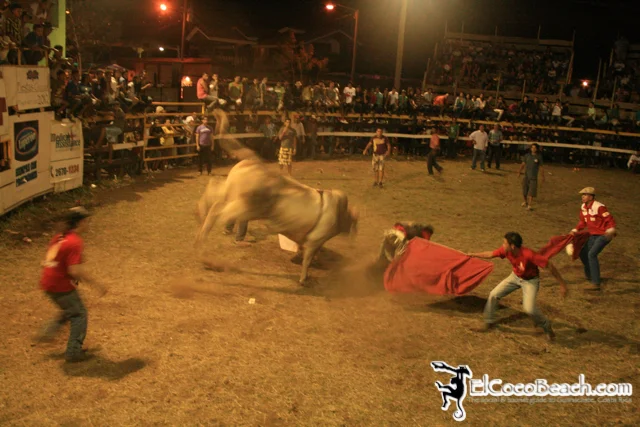 elcocobeach.pdcfestival2012.065..jpg