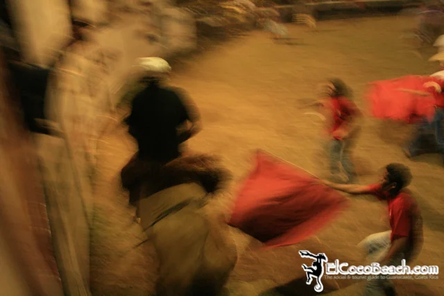 elcocobeach.pdcfestival2012.108..jpg