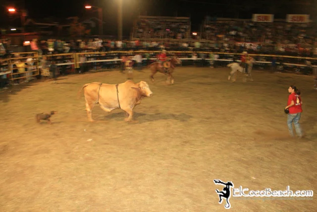 elcocobeach.pdcfestival2012.109..jpg