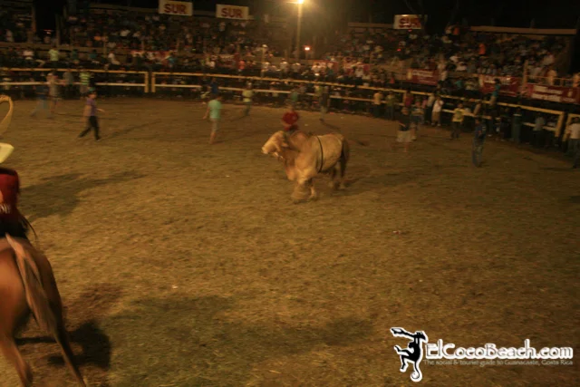 elcocobeach.pdcfestival2012.111..jpg