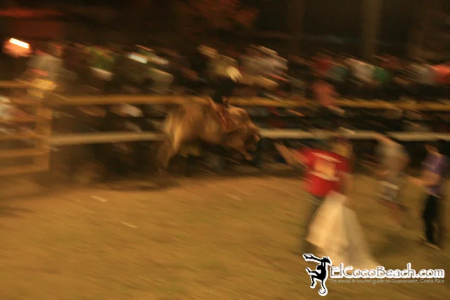 elcocobeach.pdcfestival2012.106..jpg