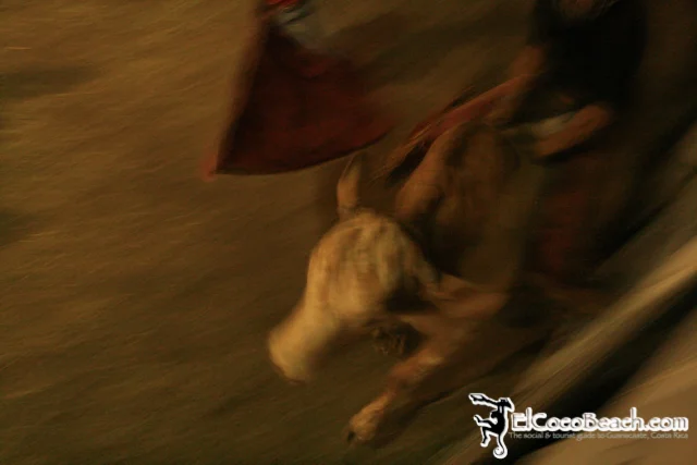 elcocobeach.pdcfestival2012.103..jpg