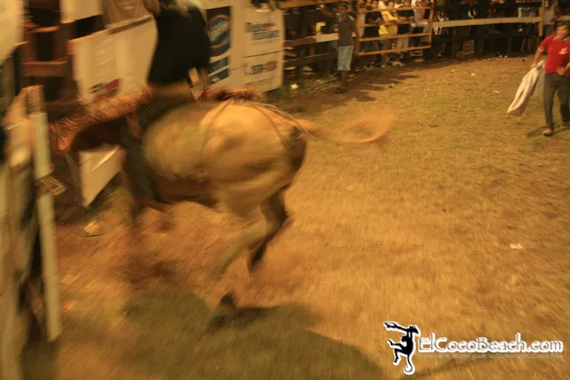 elcocobeach.pdcfestival2012.089..jpg
