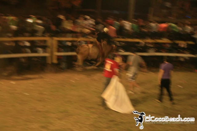 elcocobeach.pdcfestival2012.100..jpg