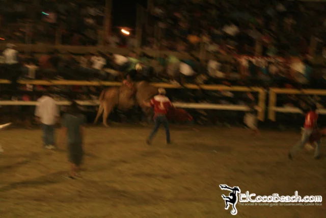 elcocobeach.pdcfestival2012.096..jpg