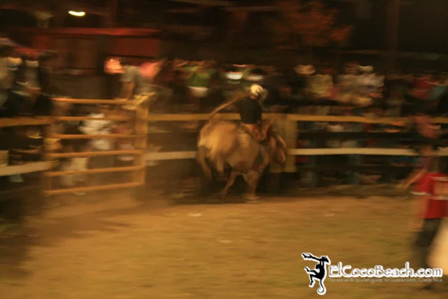 elcocobeach.pdcfestival2012.092..jpg