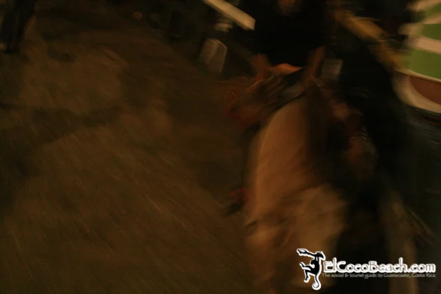 elcocobeach.pdcfestival2012.093..jpg