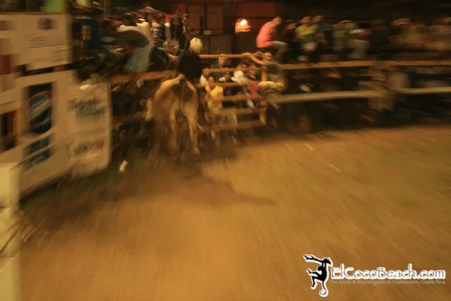 elcocobeach.pdcfestival2012.084..jpg