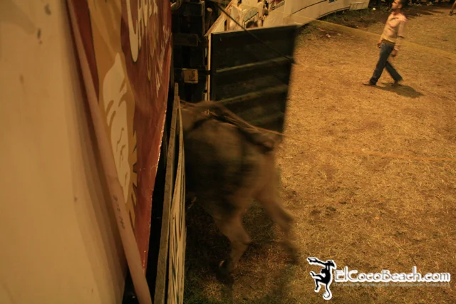 elcocobeach.pdcfestival2012.076..jpg