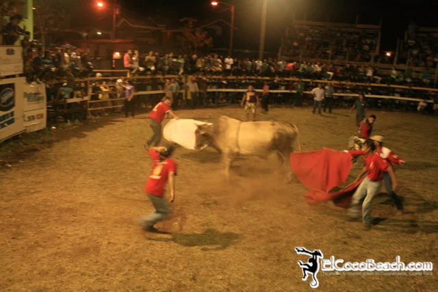elcocobeach.pdcfestival2012.070..jpg