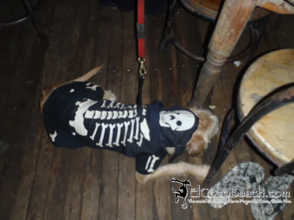 halloween2012-61.jpg