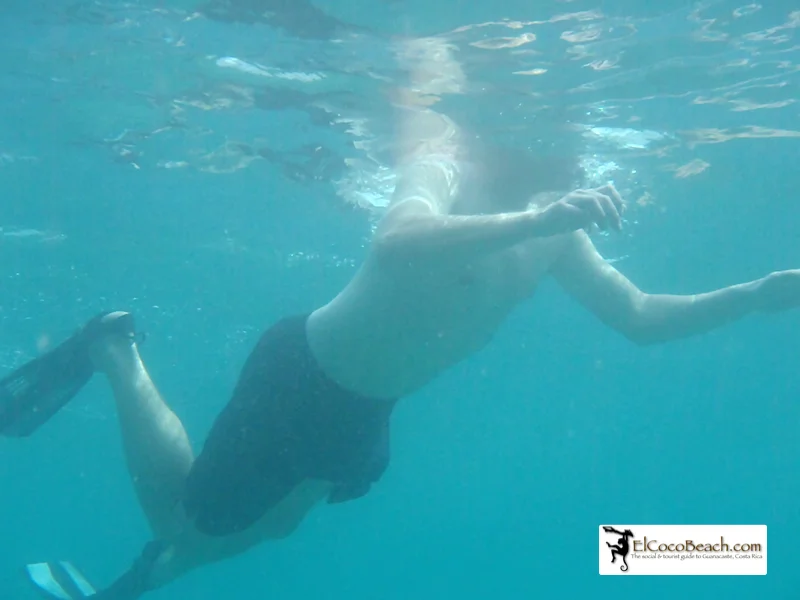 elcocobeachkayak.15.jpg