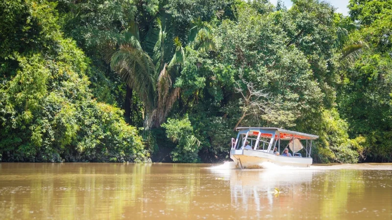Palo Verde Boat & Cultural Tour