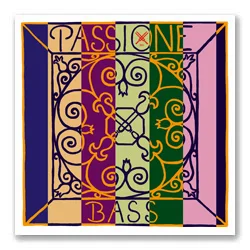 passione-bass-strings.jpg