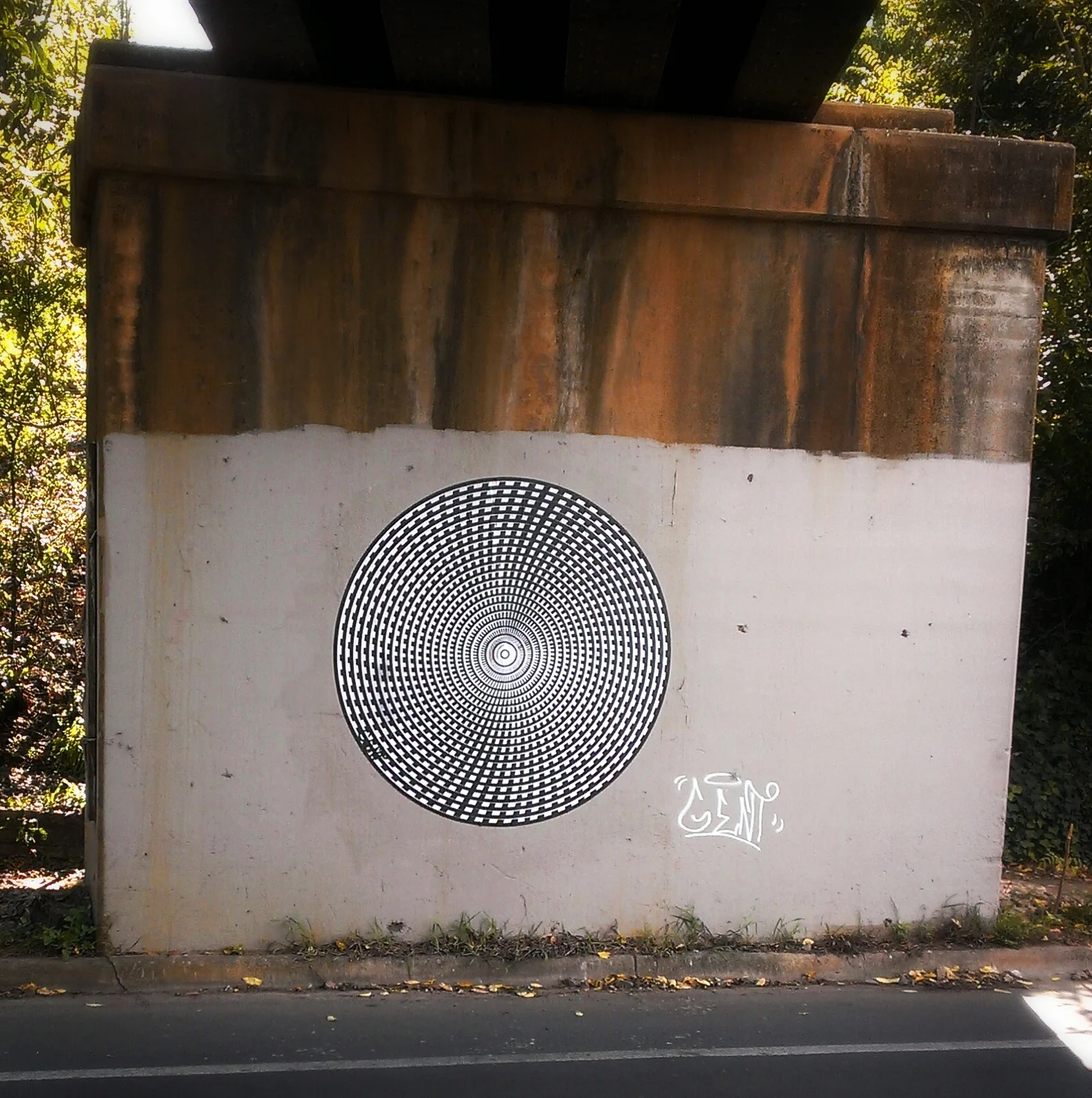 IMAG2441_1.jpg