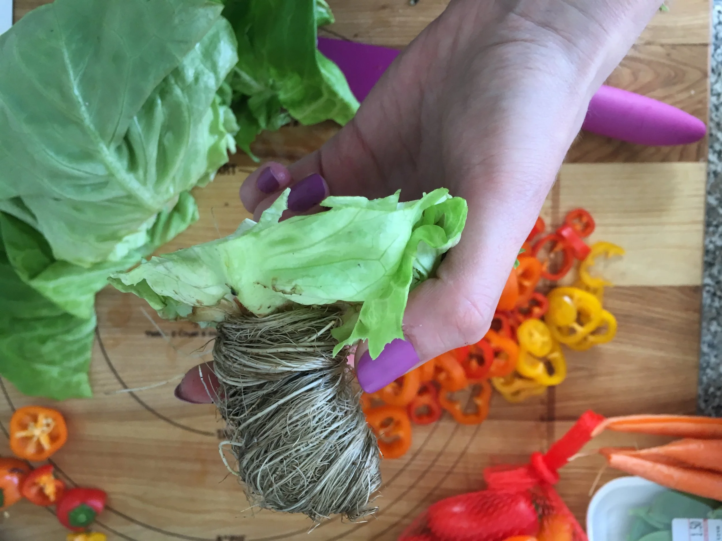 lettuce.jpg
