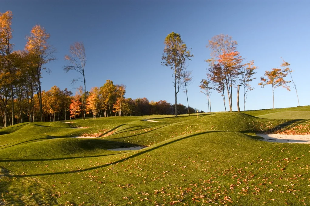 4th green copy.jpg