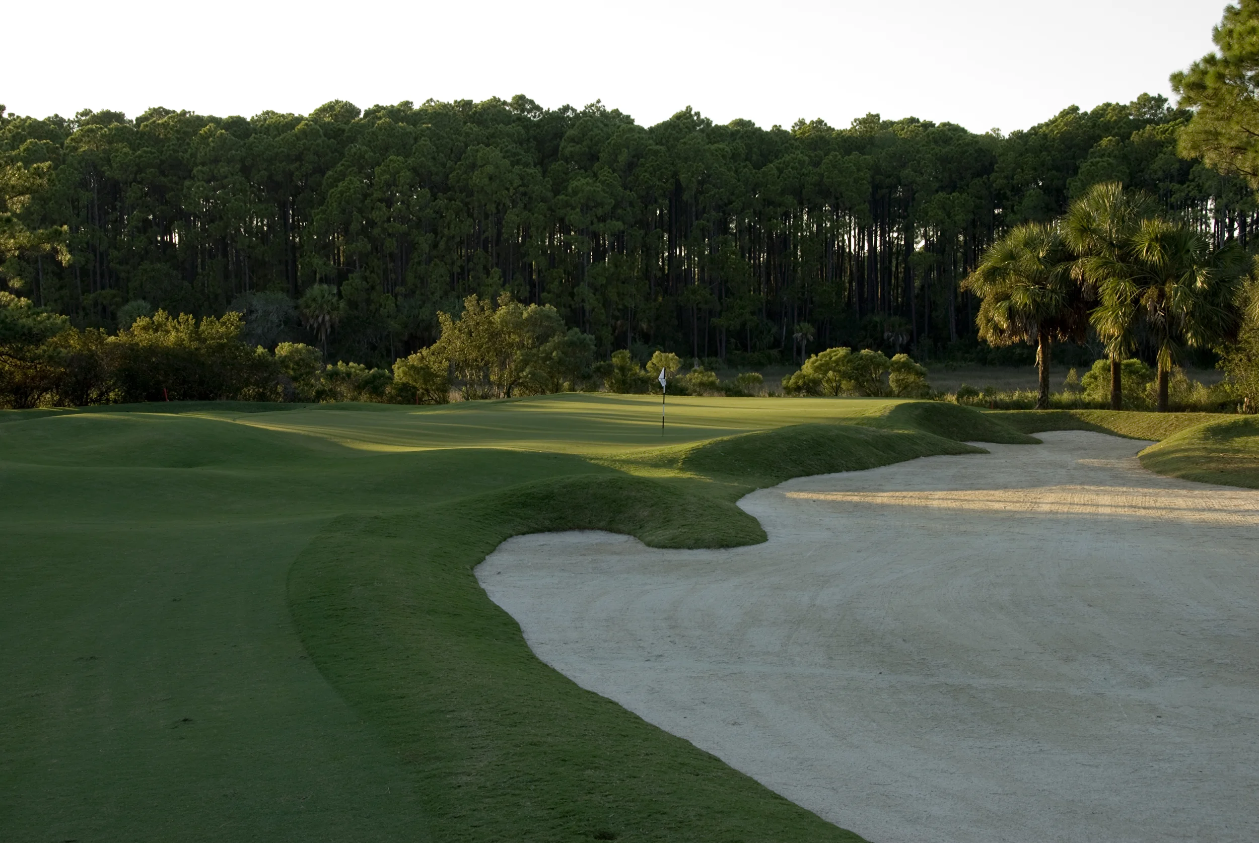 HeronPointe#9Greensite.jpg