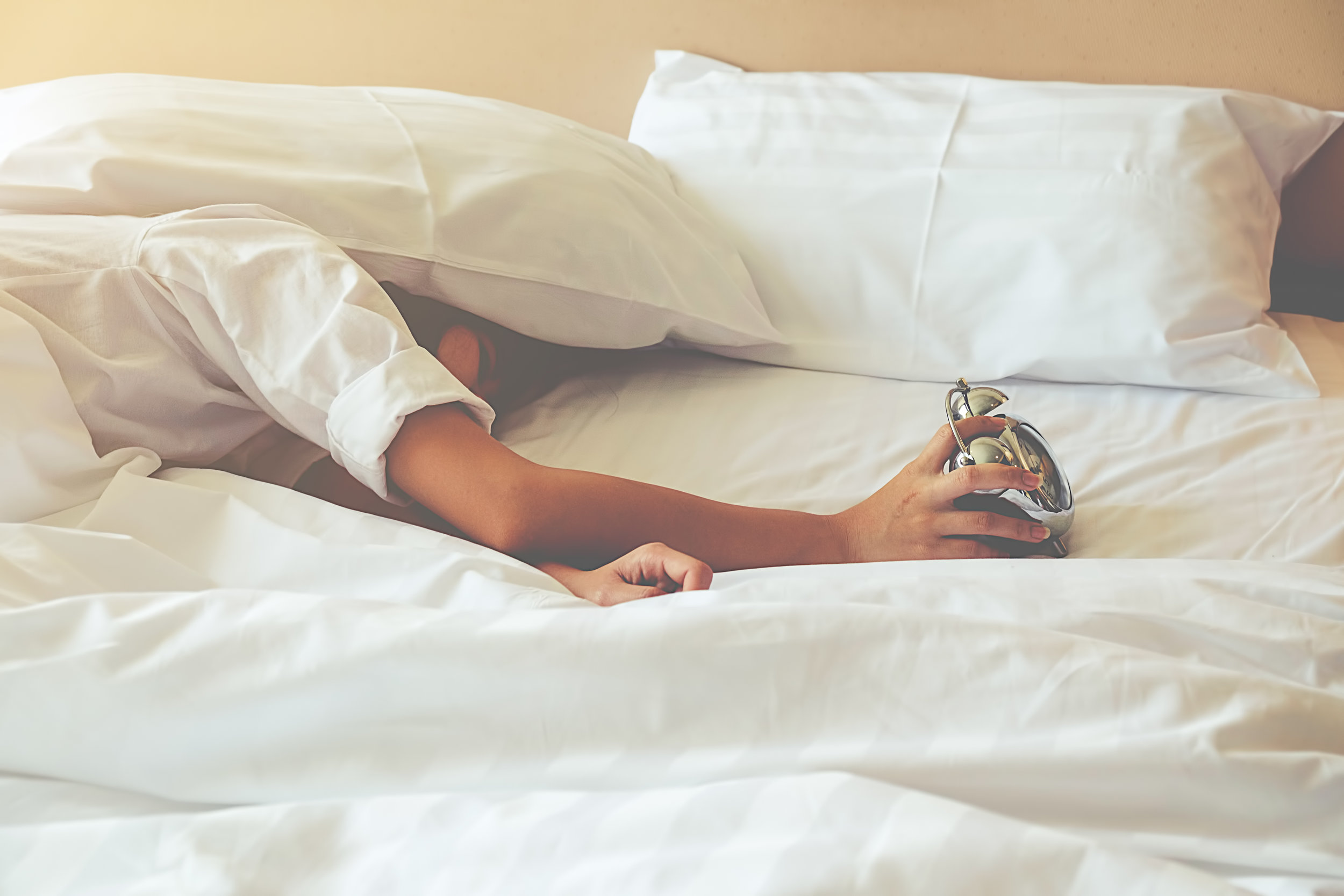 Sleep Is The Fountain Of Youth