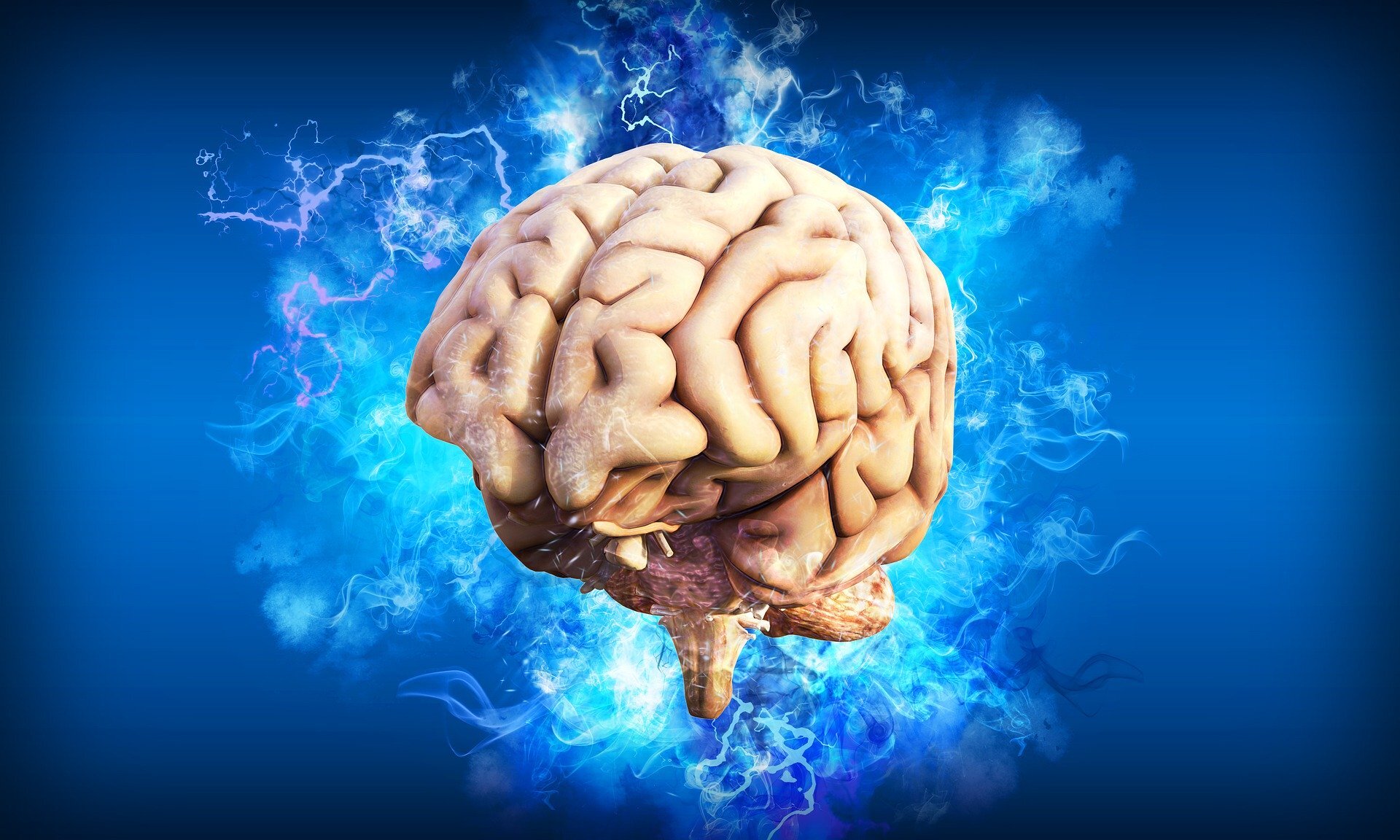 Is The Brain A Muscle?
