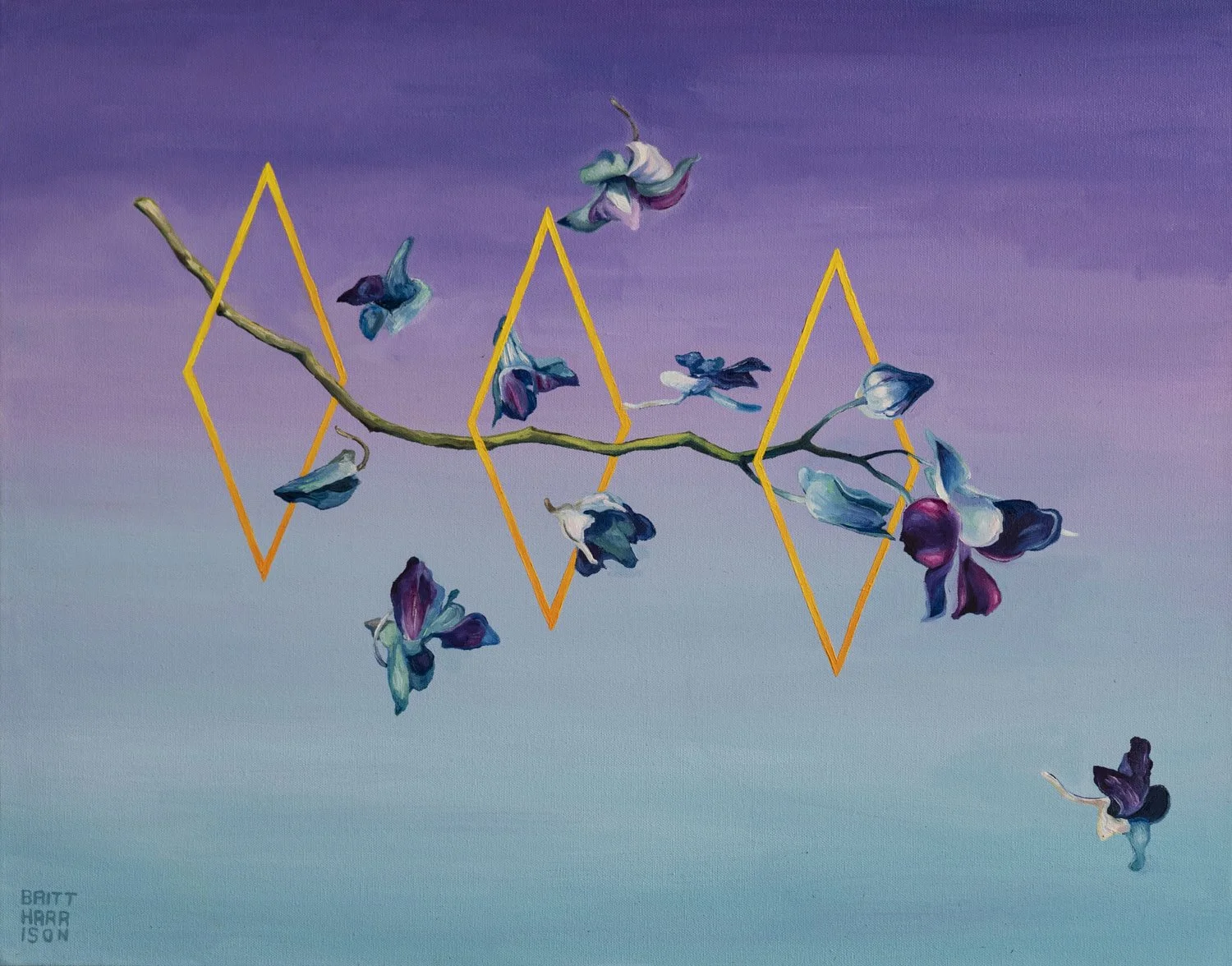  Orchid Thief (Front) 