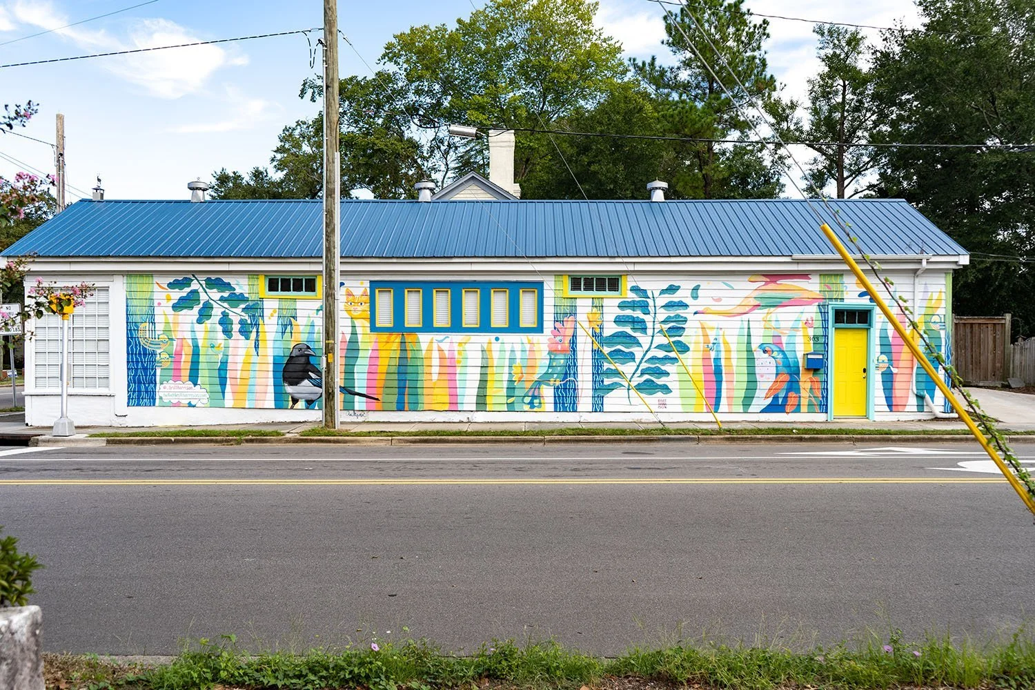  The Bird House (2022) 