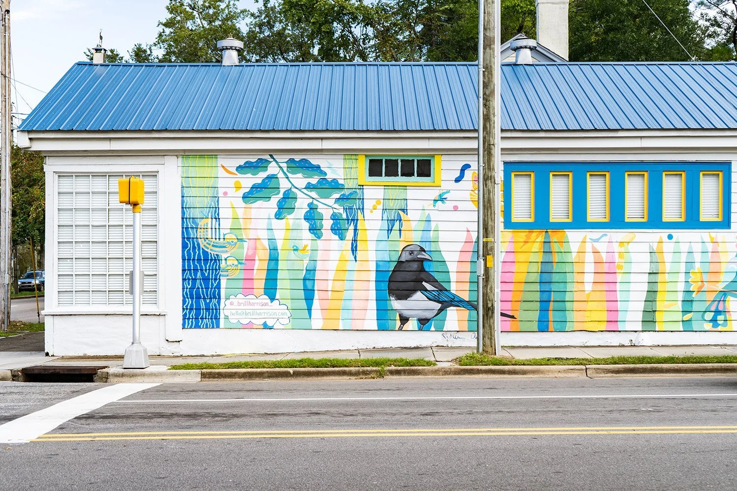  The Bird House (2022) 