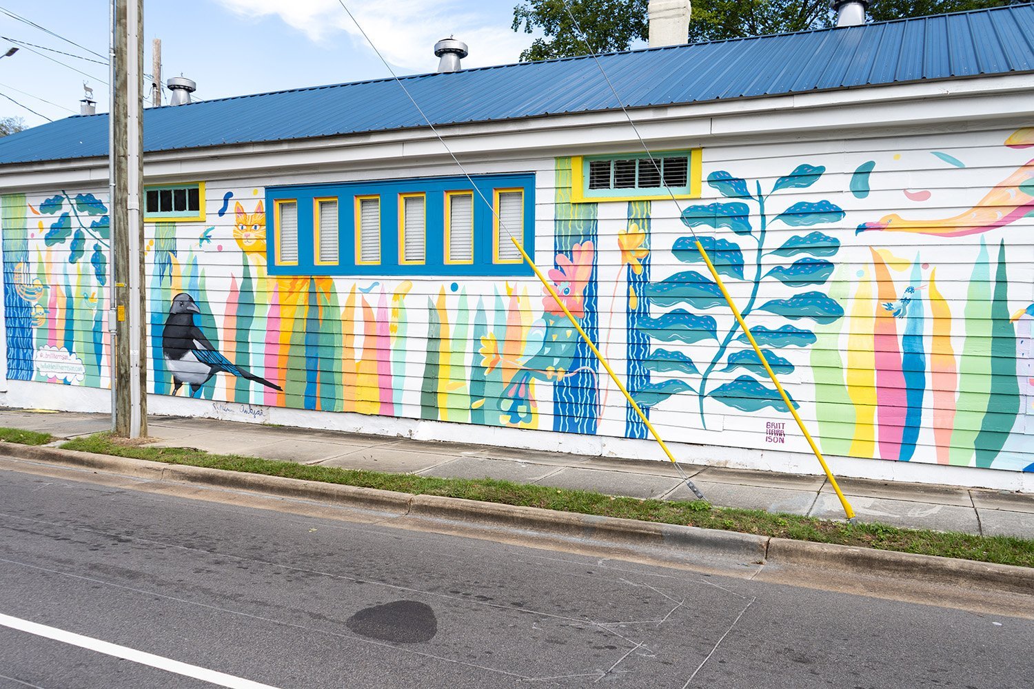 The Bird House 5.jpeg