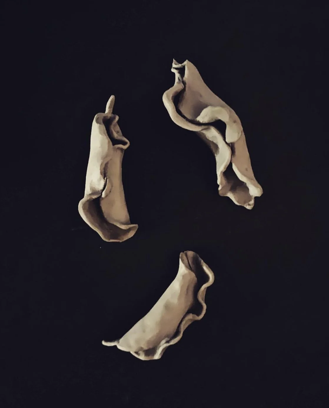 Bury Your Grievances 1.jpeg