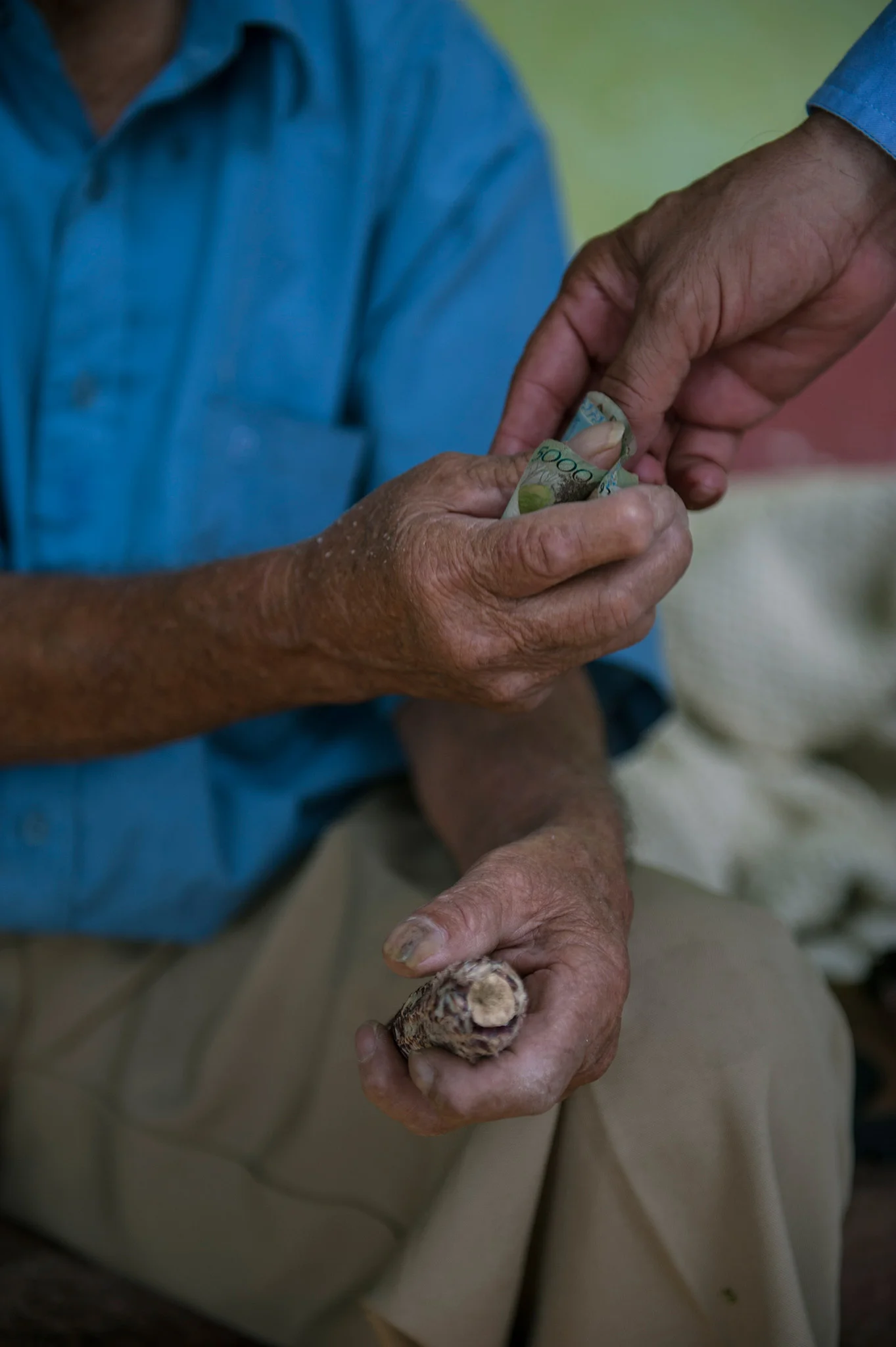 vangogh_pablosalgado_5918.jpg