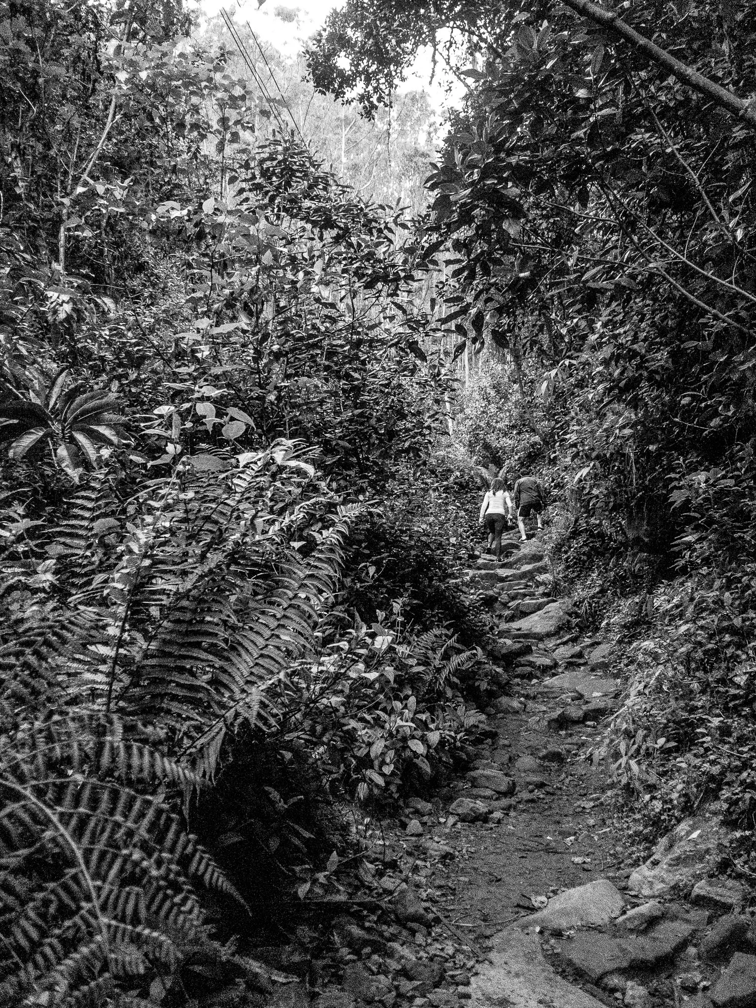 _pablosalgado_IMG_3674.jpg