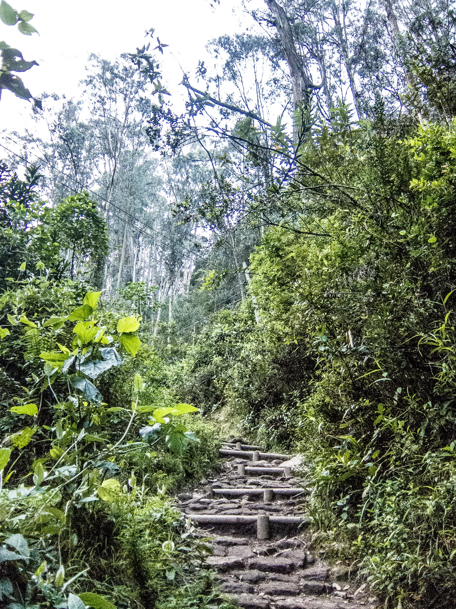 _pablosalgado_IMG_3676.jpg