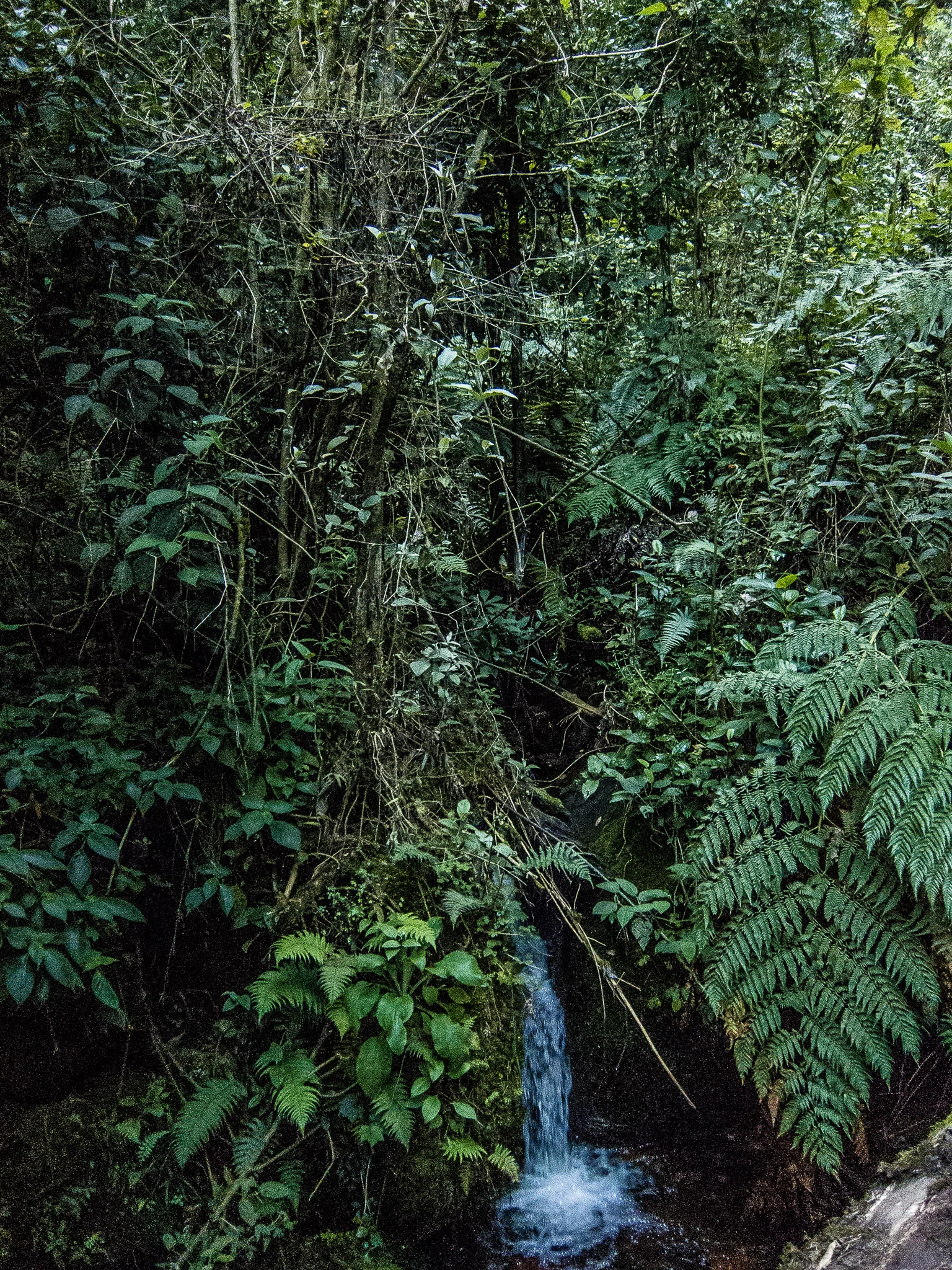 _pablosalgado_IMG_3679.jpg