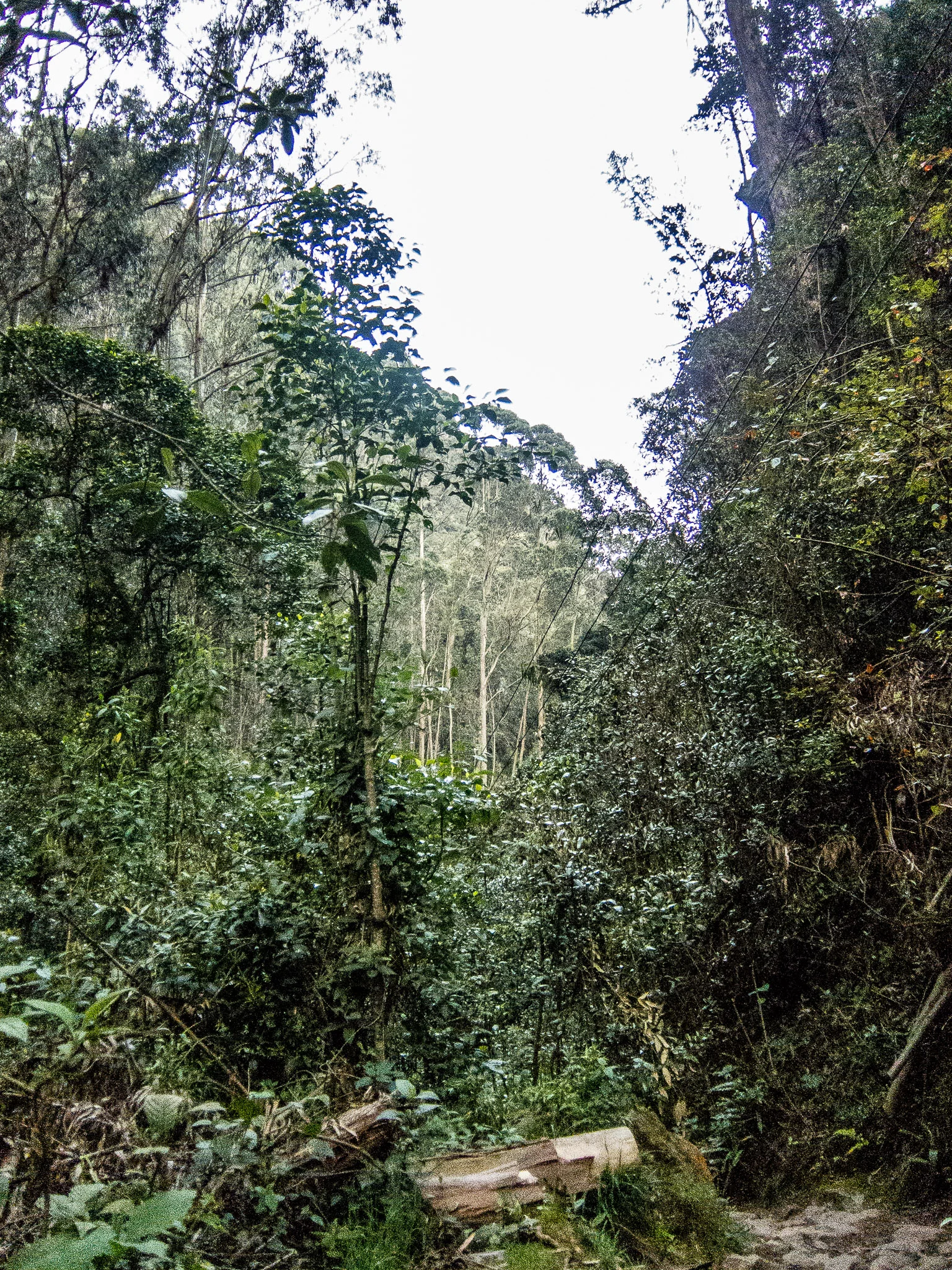 _pablosalgado_IMG_3681.jpg
