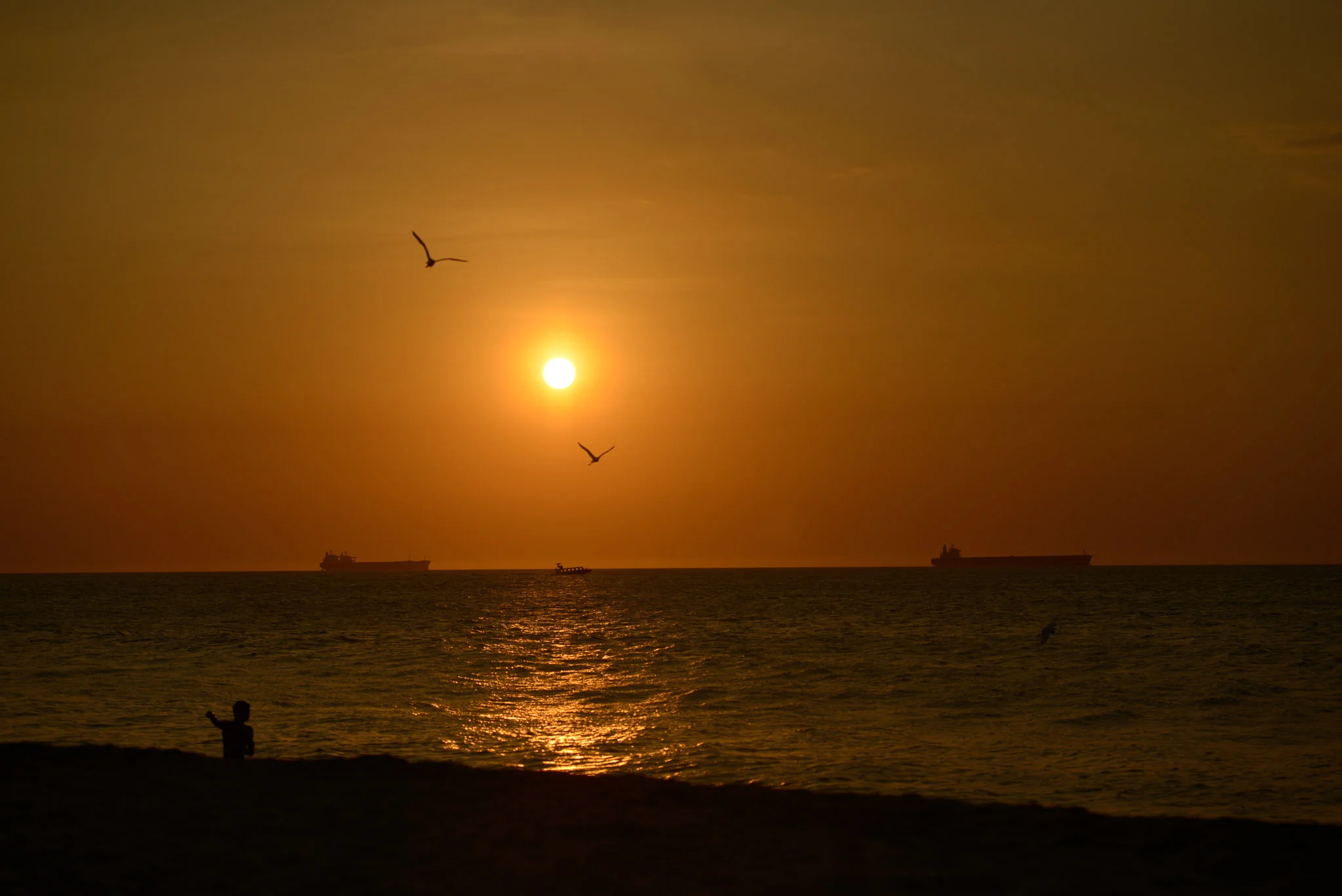 _pablosalgado__PSB0649.jpg