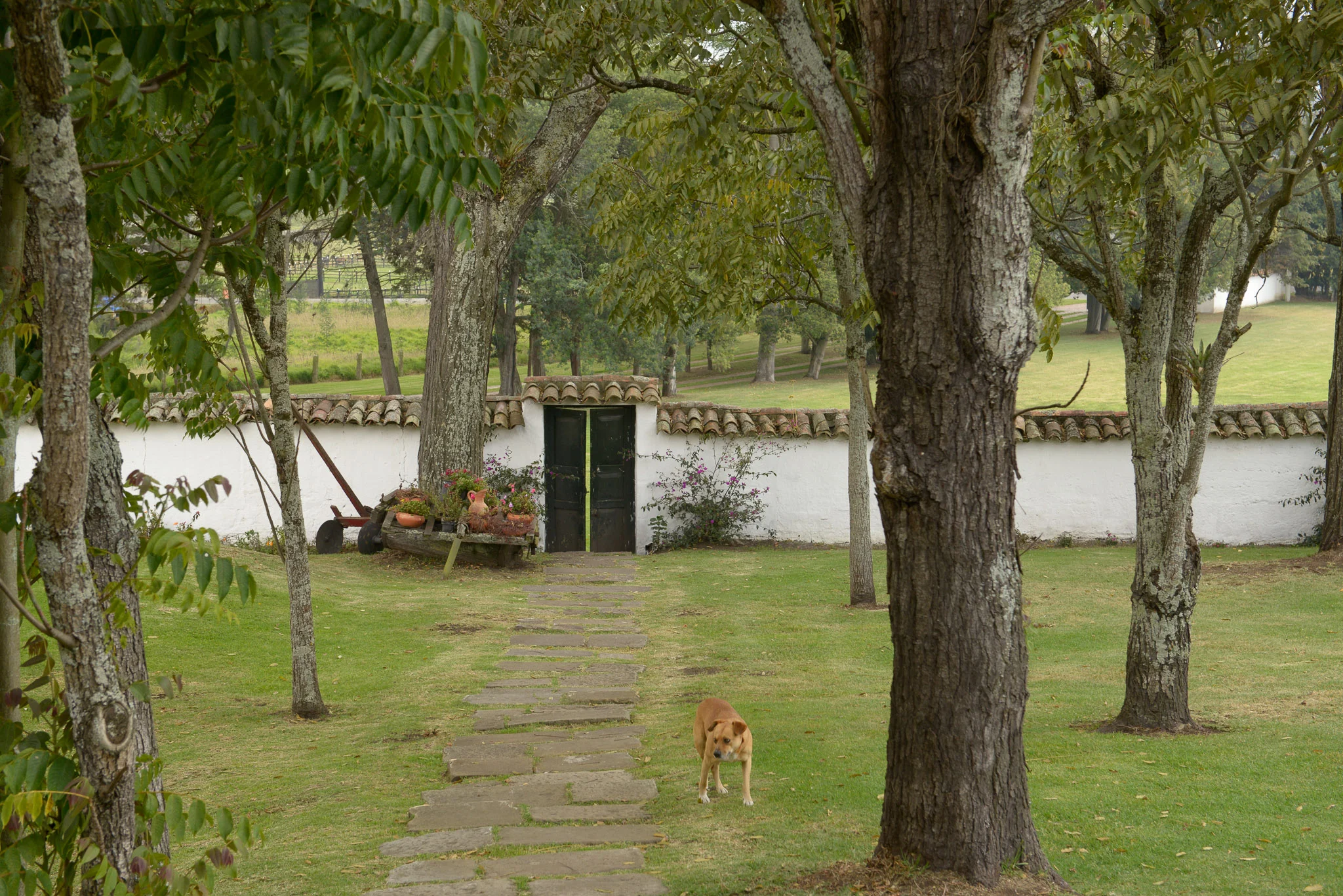 _pablosalgado__PSB9359.jpg