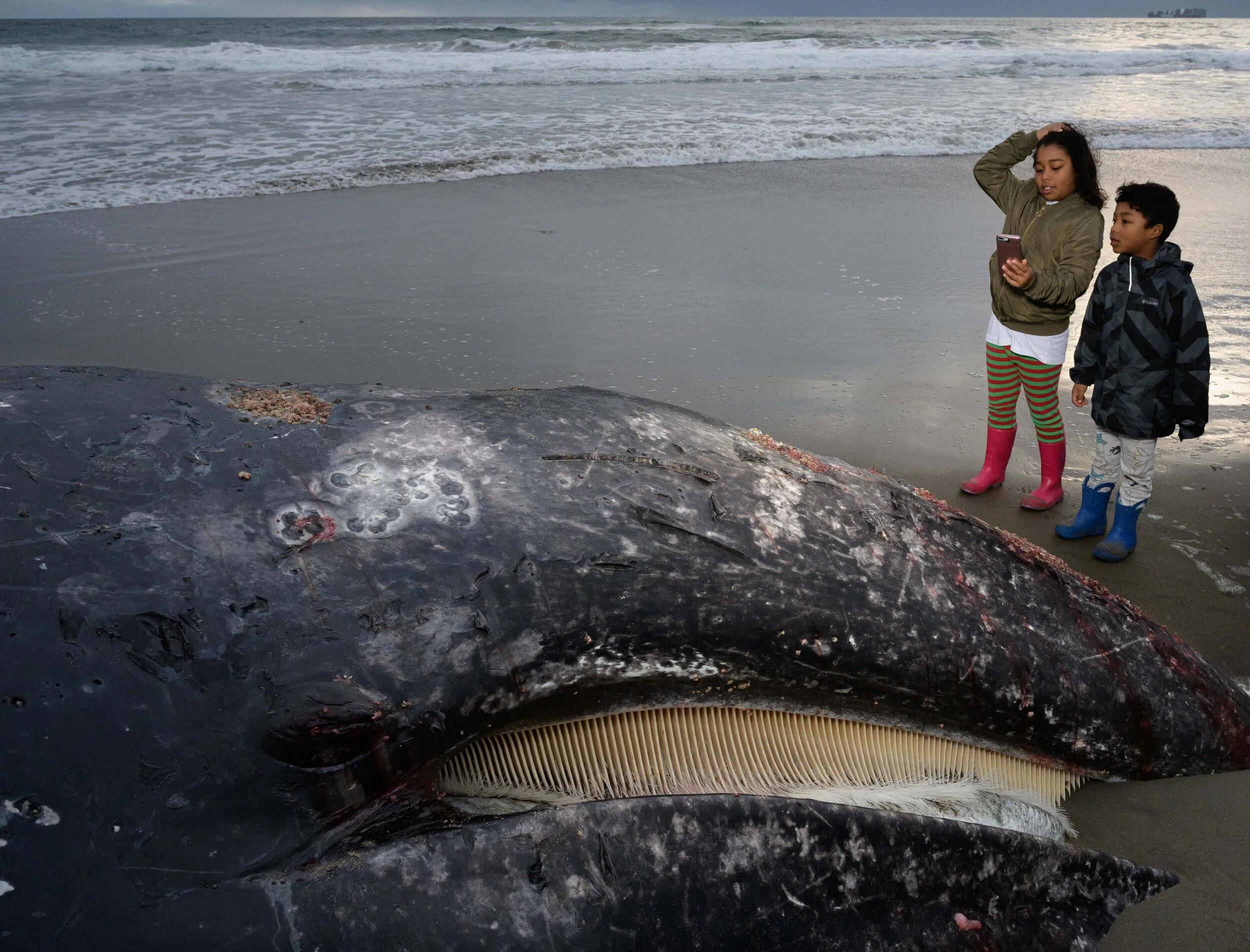 News and Story Photography