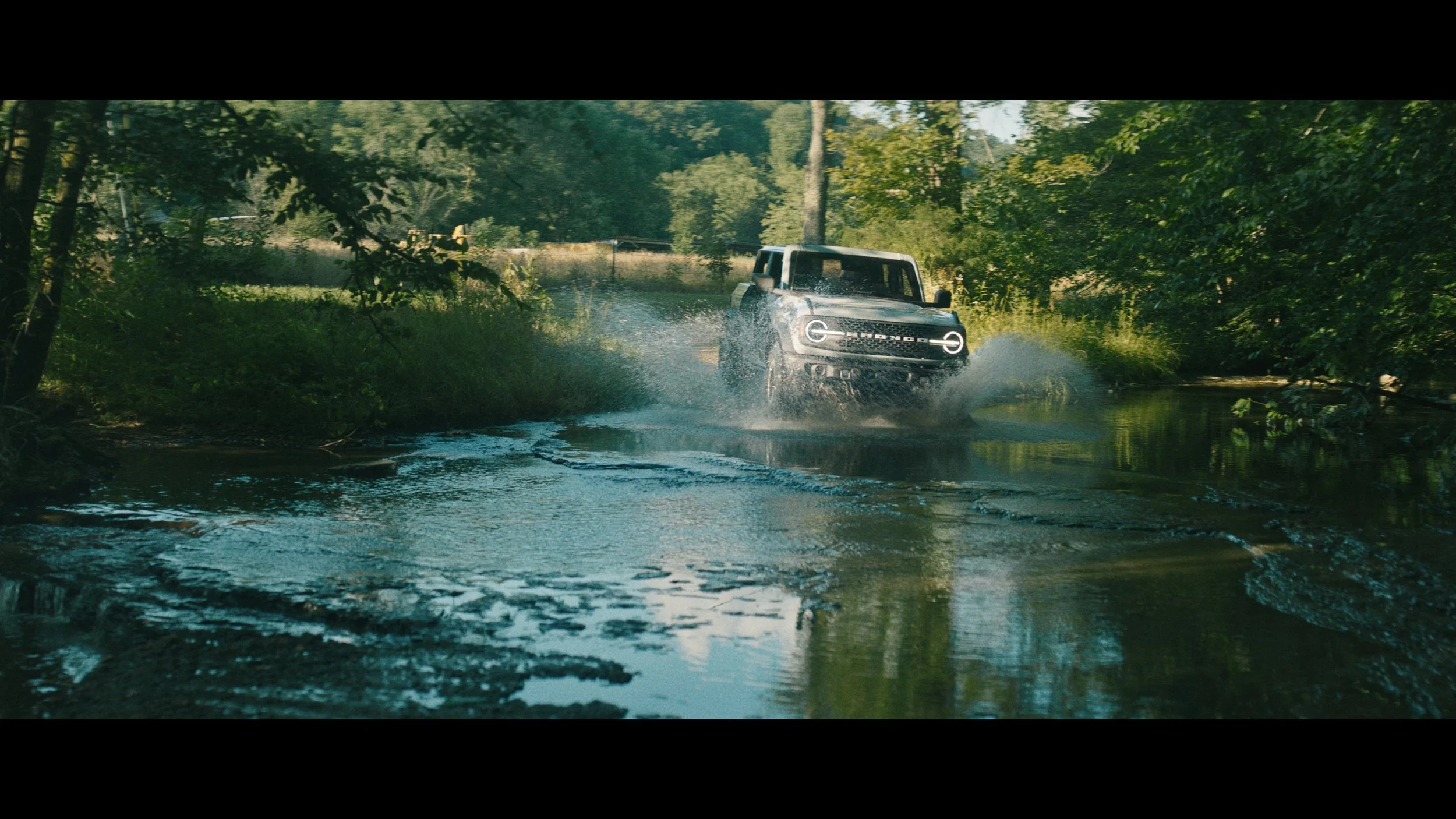 Ford Bronco : Built Wild