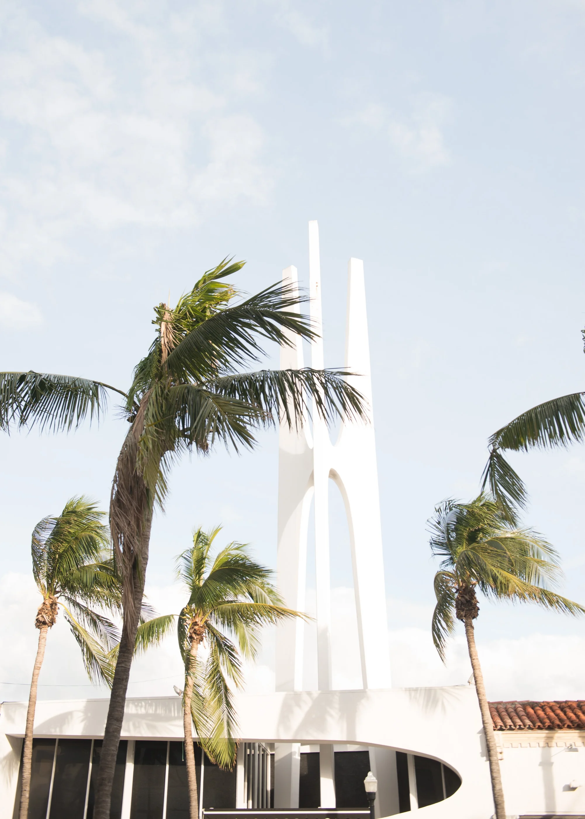 Dennys-Mamero-Photography-Editorial-Food-Architecture-Maimi-Palm-Trees.jpg